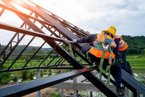 Best Roof Gutter Cleaning  in Norwood, NC